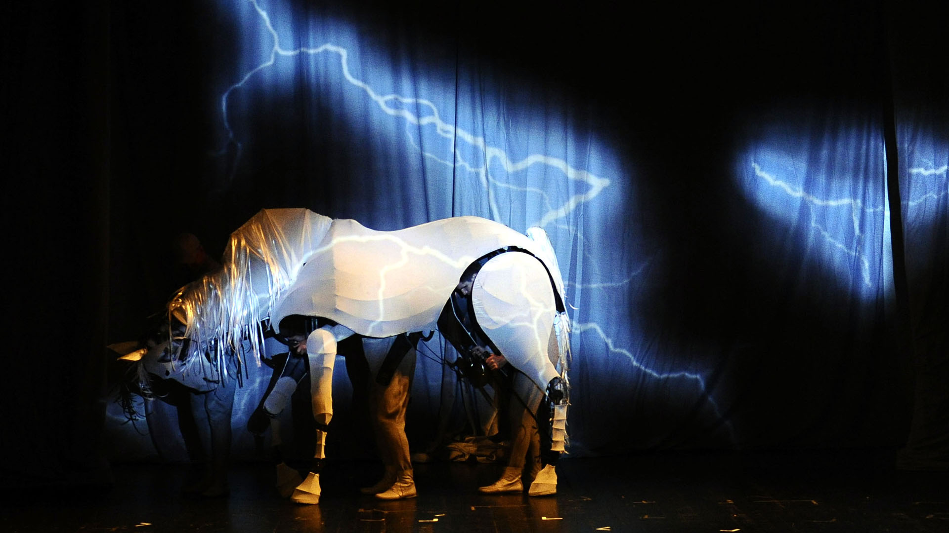 "Bela griva", foto: pinokio.rs